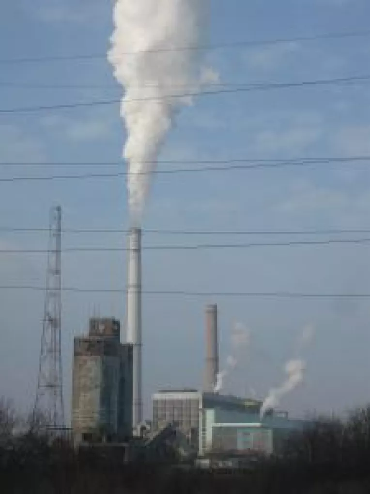 Doljchim nu mai poate exporta