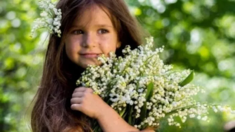 Lacramioara - cea mai frumoasa floare a lunii Mai