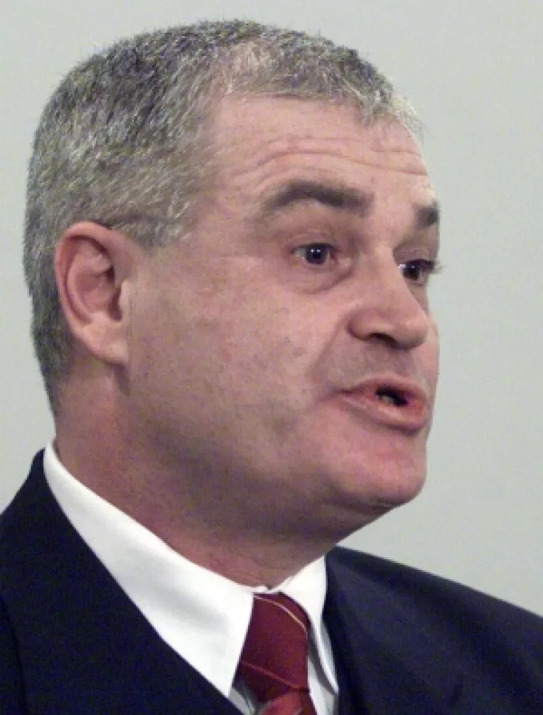 Nicolicea, finul lui Mitrea, preia functia de vicepresedinte al Camerei